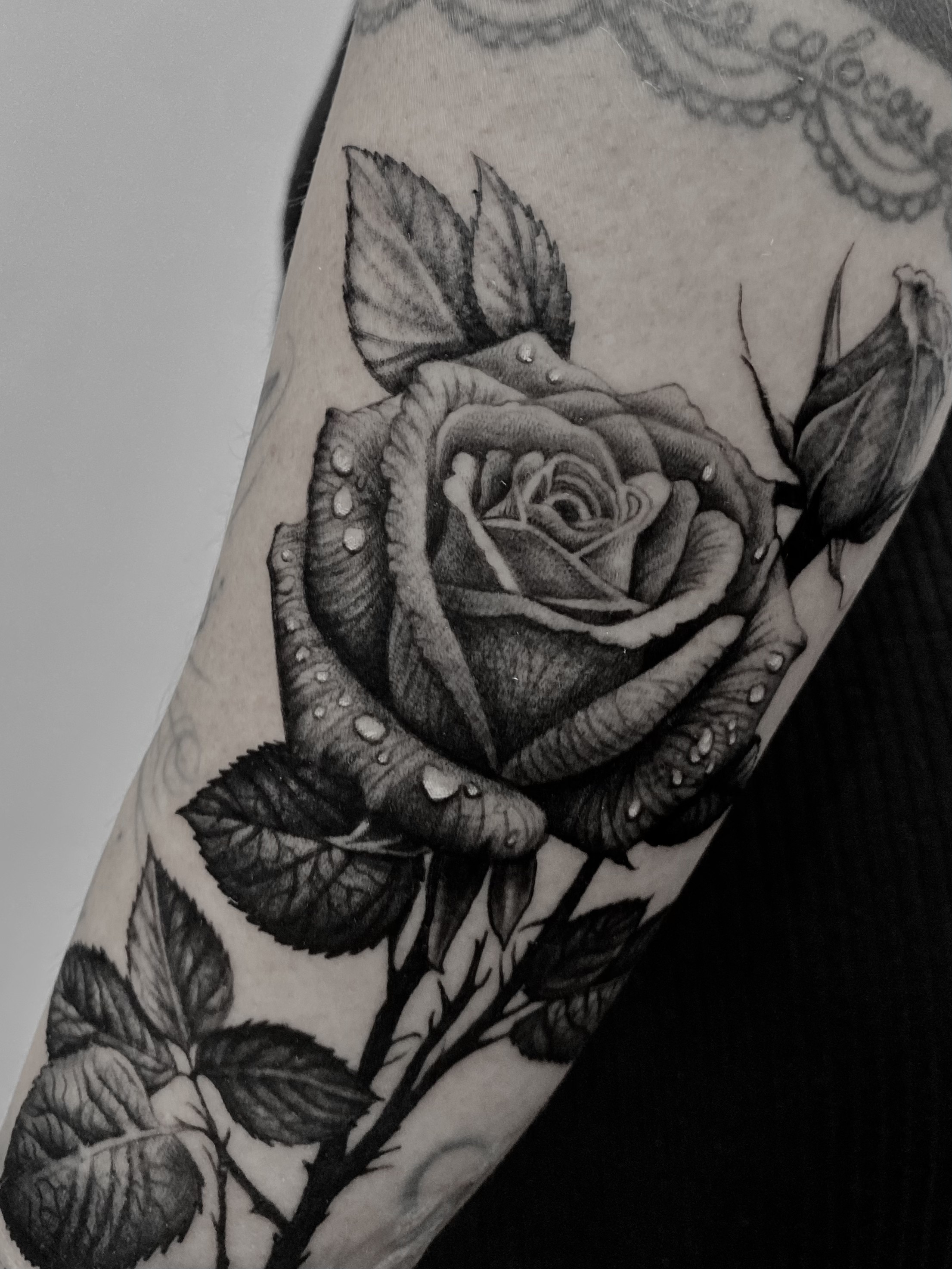 Trabalho 1 de Matheus Alves