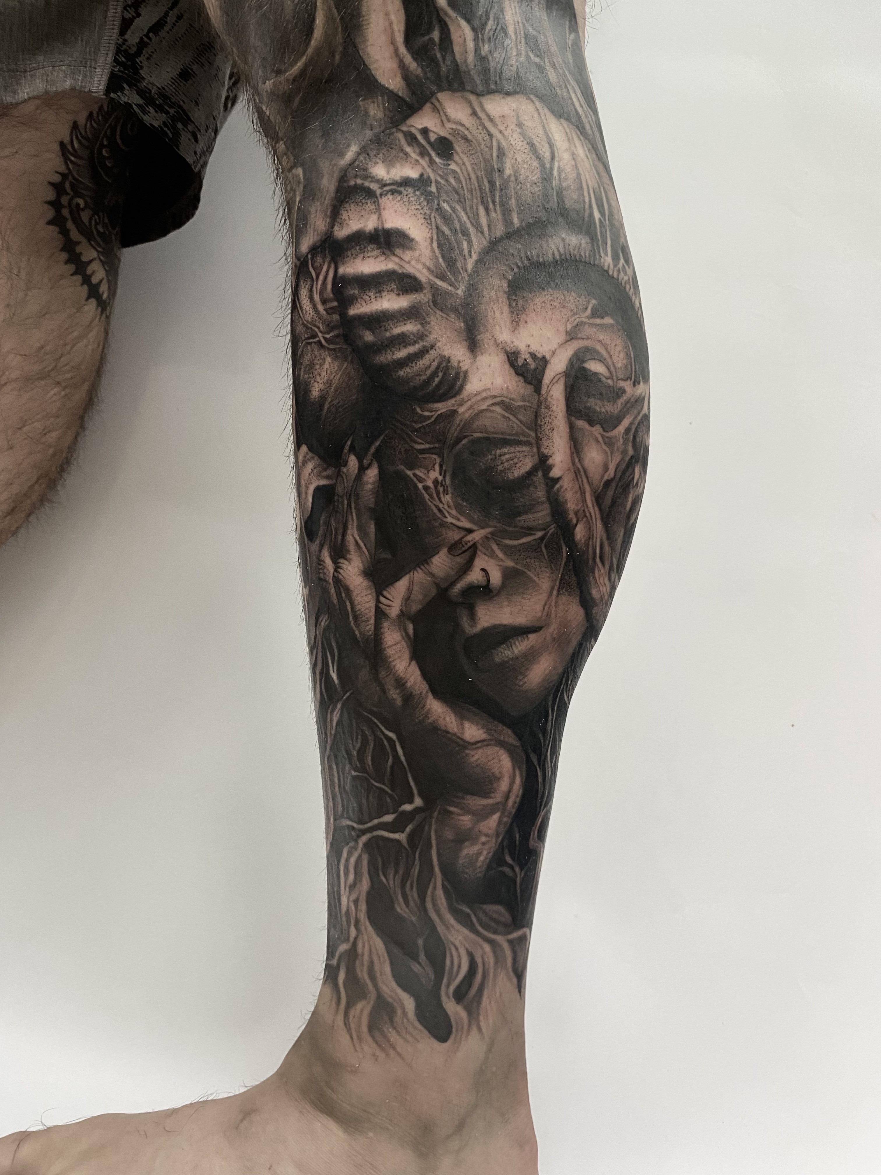 Trabalho 3 de Matheus Alves